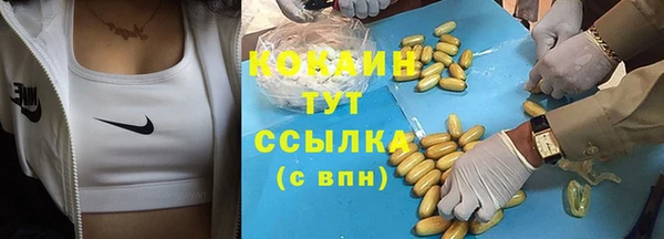 мет Арсеньев