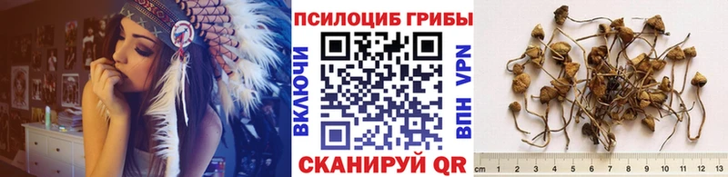 Купить закладки  Пролетарск  Галлюциногенные грибы мухоморы 
